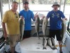 (08/15/2015) - Nice Striped Bass